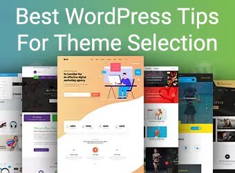 Best WordPress Themes